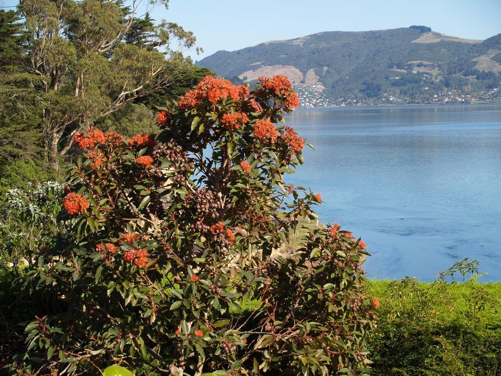 Captain Eady'S Lookout Portobello Bagian luar foto